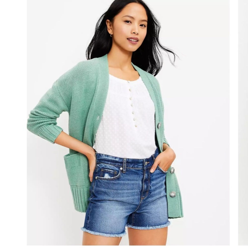 LOFT Blue Denim Jean Shorts